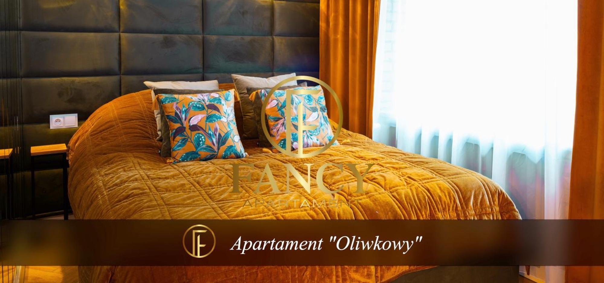 Fancy Apartment Nikiszowiec 卡托维兹 外观 照片